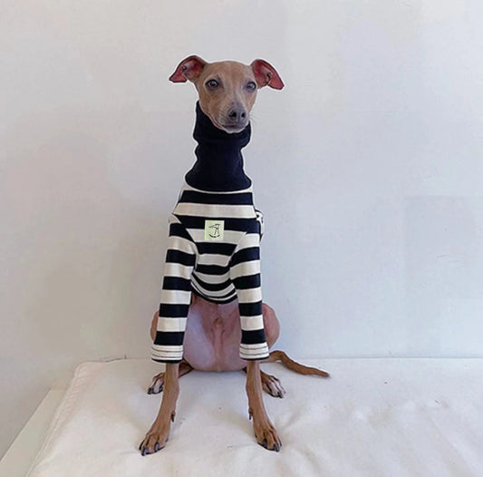 Black and White Striped Italian Greyhound Sweater