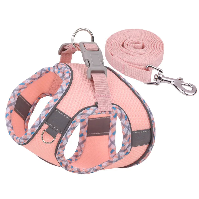 Outdoor Walking Dog Harness and Leash Set