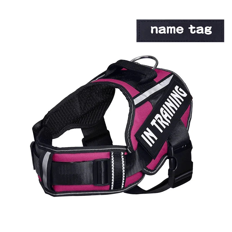Personalized Reflective Dog Harness with Name Tag