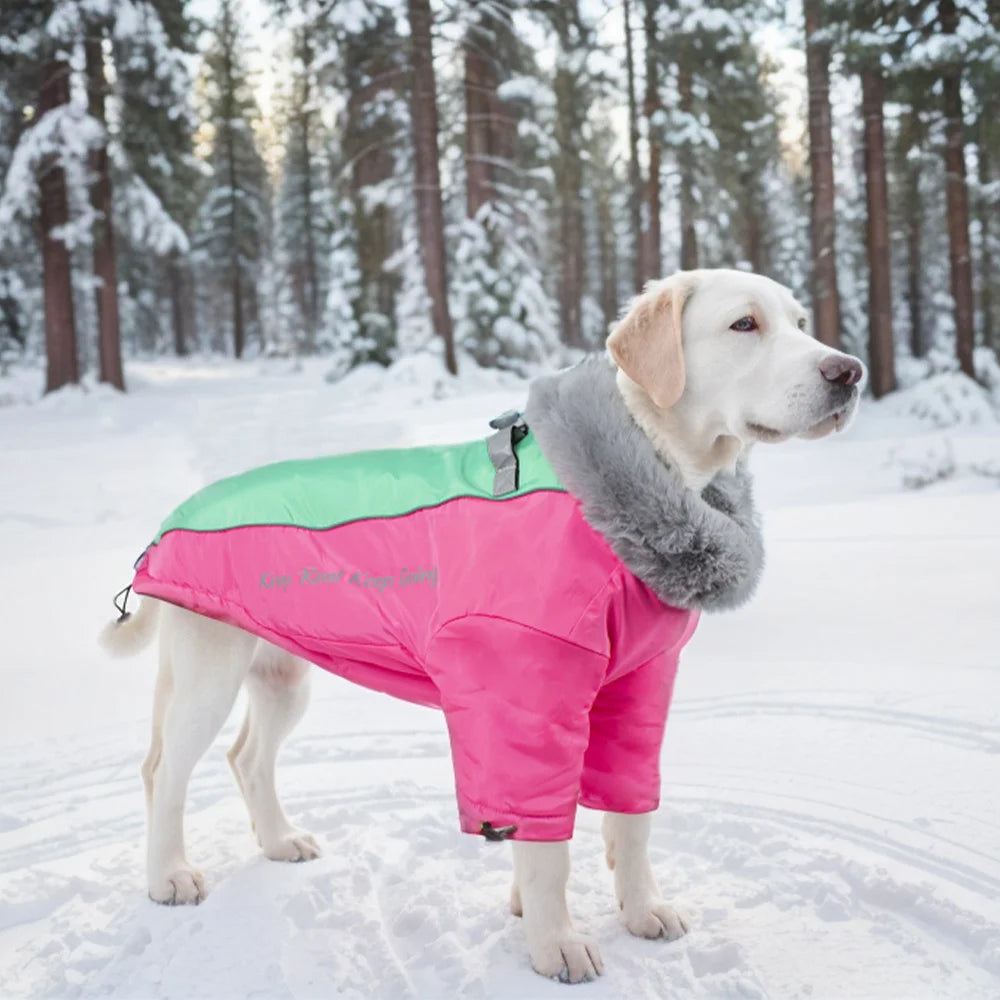 Super Cozy Winter Dog Vest Jacket