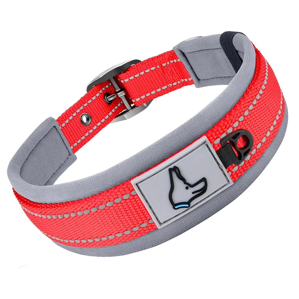 Padded Dog Collars