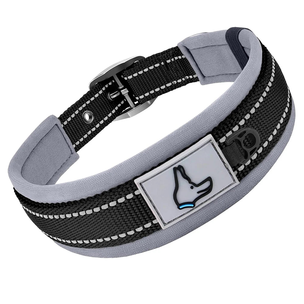 Padded Dog Collars