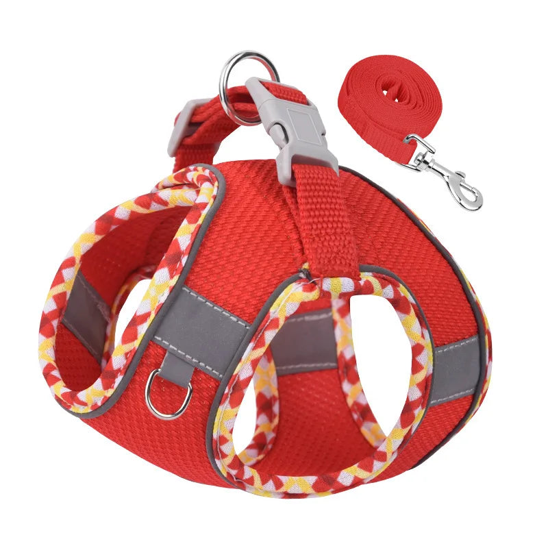 Outdoor Walking Dog Harness and Leash Set