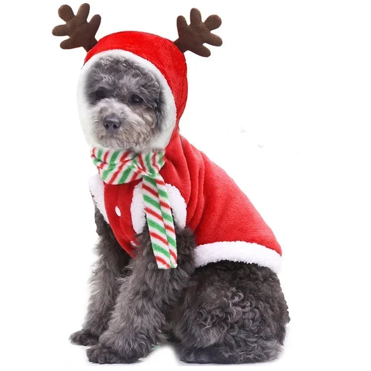 Dog Christmas Festive Hoodies