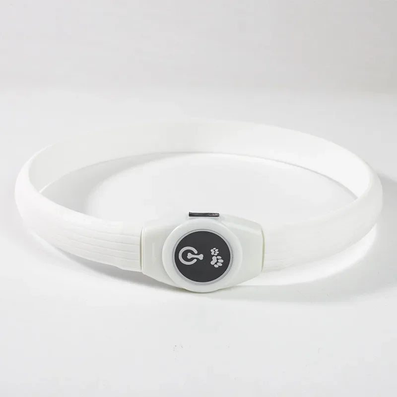 LED Glow Dog Collar