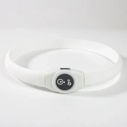 LED Glow Dog Collar