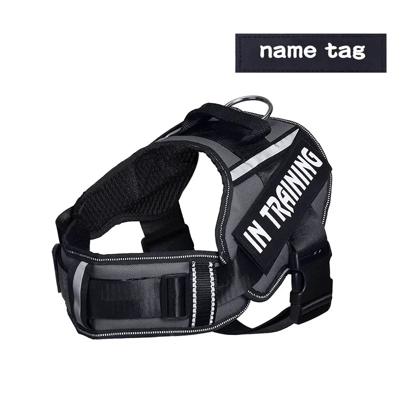 Personalized Reflective Dog Harness with Name Tag