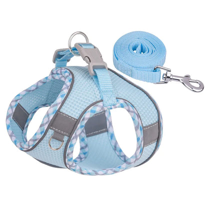 Outdoor Walking Dog Harness and Leash Set