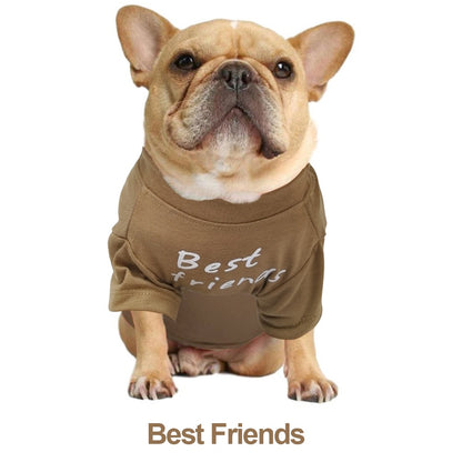 Summer/Spring Dog T-shirts