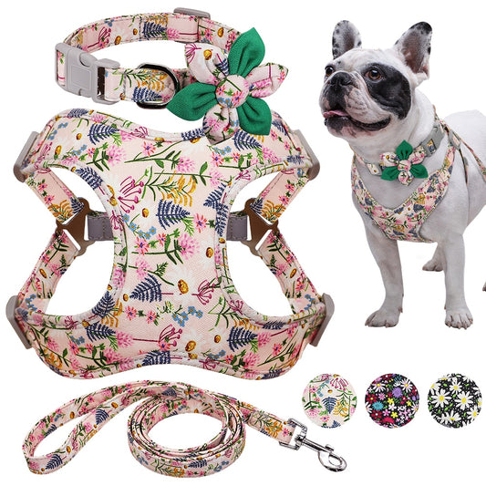 Harness Leash And Collar