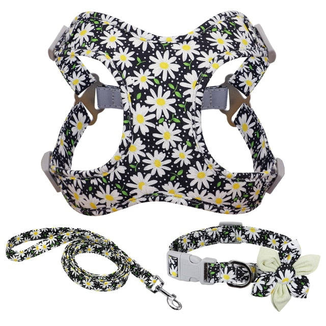 Harness Leash And Collar