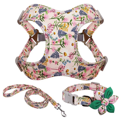 Harness Leash And Collar