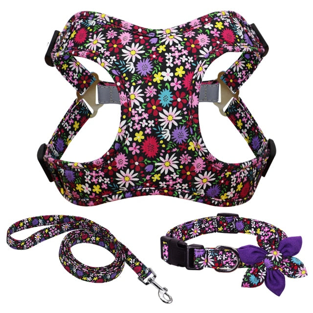 Harness Leash And Collar